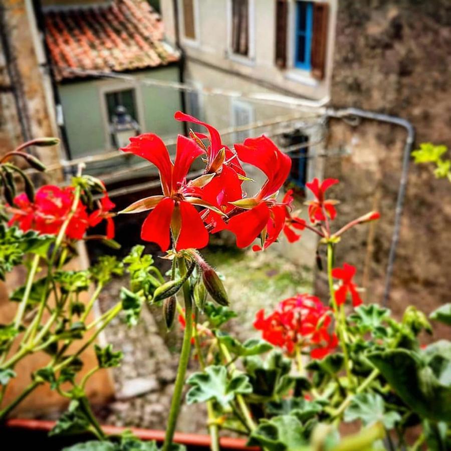 Dulcis In Borgo
